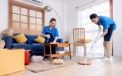 Eco-Friendly Cleaning Options