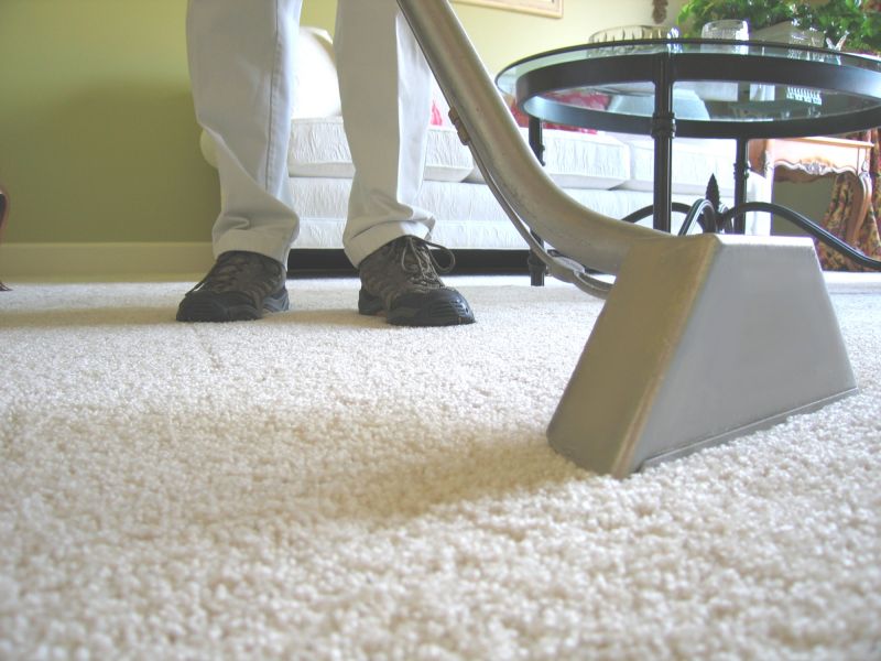 Eco-Friendly Carpet Care
